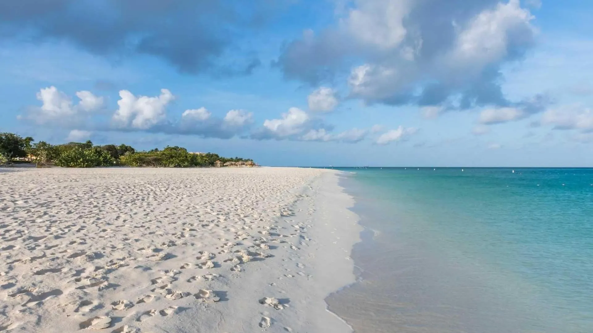 Beach View - Seaside Paradise 2Br Condo - Lv307 Palm Beach 0*,